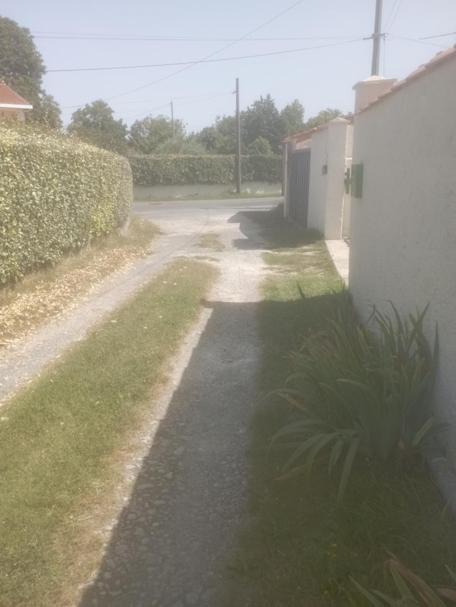 Chre Cathy Et Jean Loup Hotel Le Port des Barques Bagian luar foto